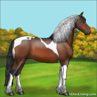 Horse Color:Brown Tobiano 