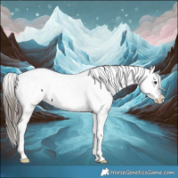 Horse Color:Smoky Black Appaloosa 