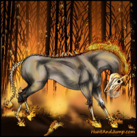 Horse Color:Brown Dun 