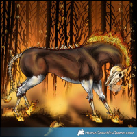 Horse Color:Liver Chestnut Splash 