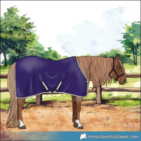 Horse Color:Red Roan 