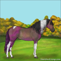 Horse Color:Brown Dun Tobiano 