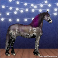 Horse Color:Gray White Spotted Liver Red Dun Ice Roan Splash Brindle 