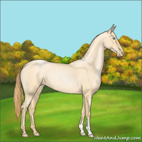 Horse Color:Buckskin Roan Pearl  and Buckskin Roan Pearl 