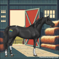 Horse Color:Black Tobiano 