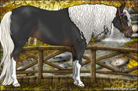 Horse Color:Liver Chestnut Mushroom 