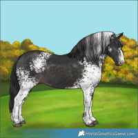 Horse Color:Platinum White Spotted Liver Chestnut 