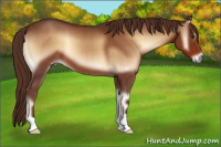 Horse Color:Red Onyx 