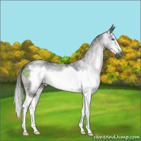 Horse Color:Gray Platinum Brown Sabino Splash Frame 