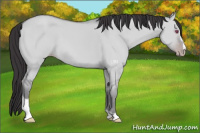 Horse Color:Classic Cream Champagne Chinchilla Dun Sabino 