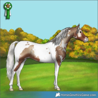 Horse Color:White Spotted Silver Blue Onyx Tobiano 