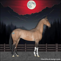 Horse Color:Brown Dun  and Brown Dun Rabicano 