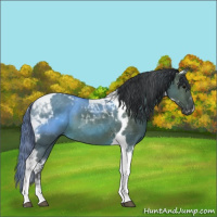 Horse Color:Brown Dun Tobiano 