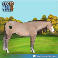 Horse Color:Sable Champagne