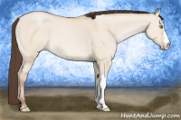 Horse Color:Amber Champagne Dun 
