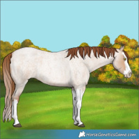 Horse Color:Brown Roan Pearl Dun Splash 