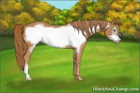 Horse Color:Chestnut Frame
