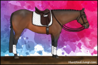 Horse Color:Bay Rabicano 