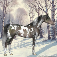 Horse Color:Platinum White Spotted Liver Chestnut 