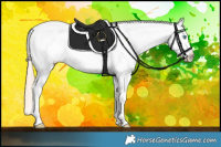 Horse Color:Perlino Appaloosa 