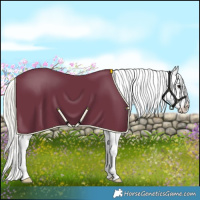 Horse Color:Silver Black Splash Tobiano Varnish 