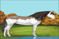 Horse Color:Classic Champagne Splash 