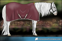 Horse Color:Silver Black Splash Snowcap