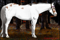 Horse Color:Bay Sabino Frame Blanket 