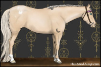 Horse Color:Palomino Pearl Varnish 