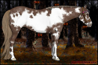 Horse Color:Liver Chestnut Frame 