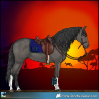 Horse Color:Black Tobiano 