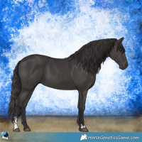 Horse Color:Smoky Black Sabino 