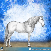 Horse Color:Gray White Spotted Smoky Black Sabino 