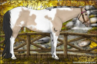 Horse Color:Bay Dun Tobiano Frame 