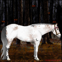 Horse Color:Gray Bay Roan Tobiano Frame 