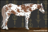 Horse Color:Chestnut Splash Tobiano Frame