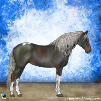 Horse Color:Liver Chestnut Mushroom Tobiano 