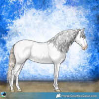 Horse Color:White Spotted Chocolate Palomino Mushroom Blanket Rabicano