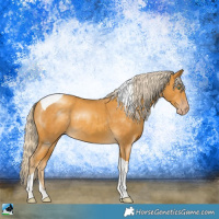 Horse Color:Gold Cream Champagne Mushroom Tobiano Rabicano