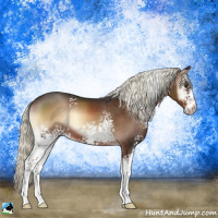 Horse Color:White Spotted Liver Red Onyx Mushroom Sabino