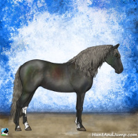 Horse Color:Liver Chestnut Mushroom Sabino 