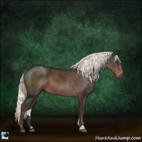 Horse Color:Liver Chestnut Mushroom Sabino 