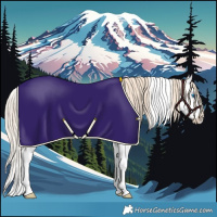 Horse Color:White Spotted Perlino Dun Splash Rabicano 