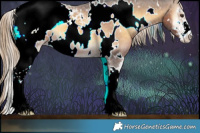 Horse Color:White Spotted Chocolate Palomino Onyx Sabino Appaloosa