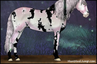 Horse Color:Watercolor White Spotted Cremello Onyx Sabino 