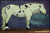 Horse Color:Watercolor White Spotted Chocolate Palomino Dun Sabino