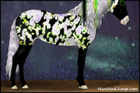 Horse Color:Watercolor Chocolate Palomino Dun Sabino Splash Appaloosa 