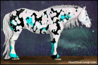 Horse Color:Watercolor White Spotted Cremello Onyx Appaloosa