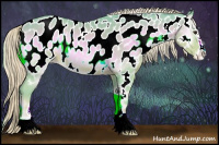 Horse Color:Watercolor Palomino Onyx Sabino Appaloosa 