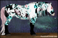 Horse Color:Watercolor Liver Red Dun Onyx Sabino Appaloosa 